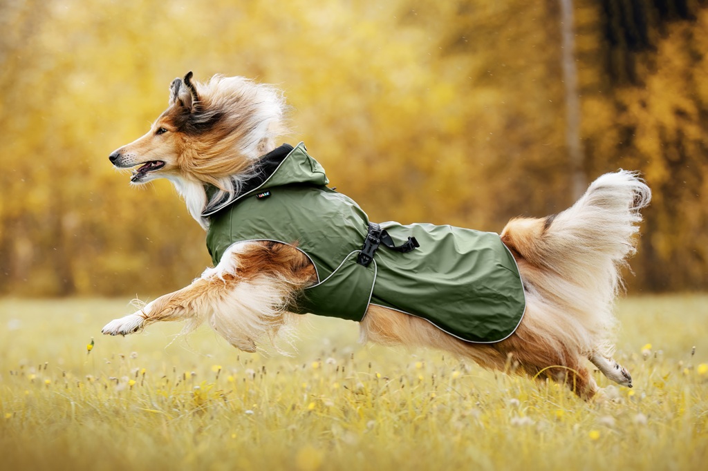 【Rukka Pets】ストリーミー X レインコート サイズ: 25