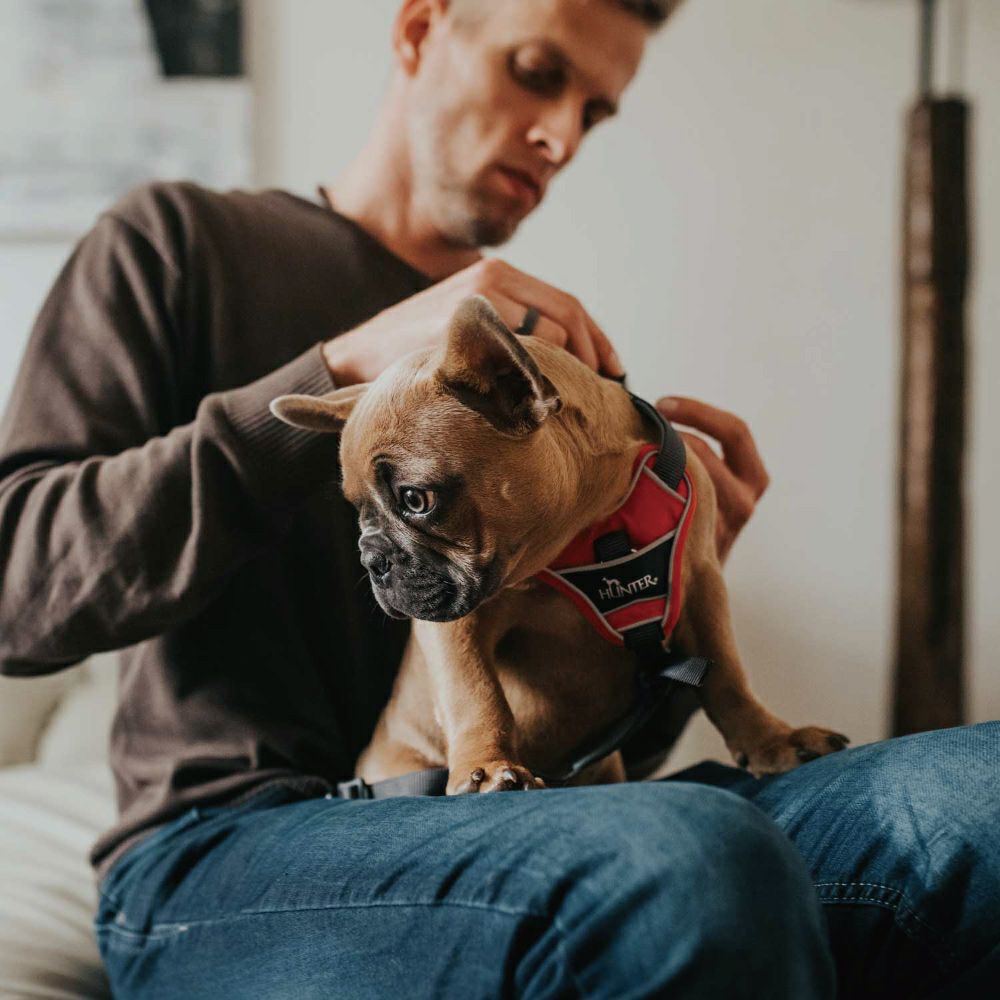 【HUNTER】ディヴォ 色: レッド/グレー, サイズ: XS