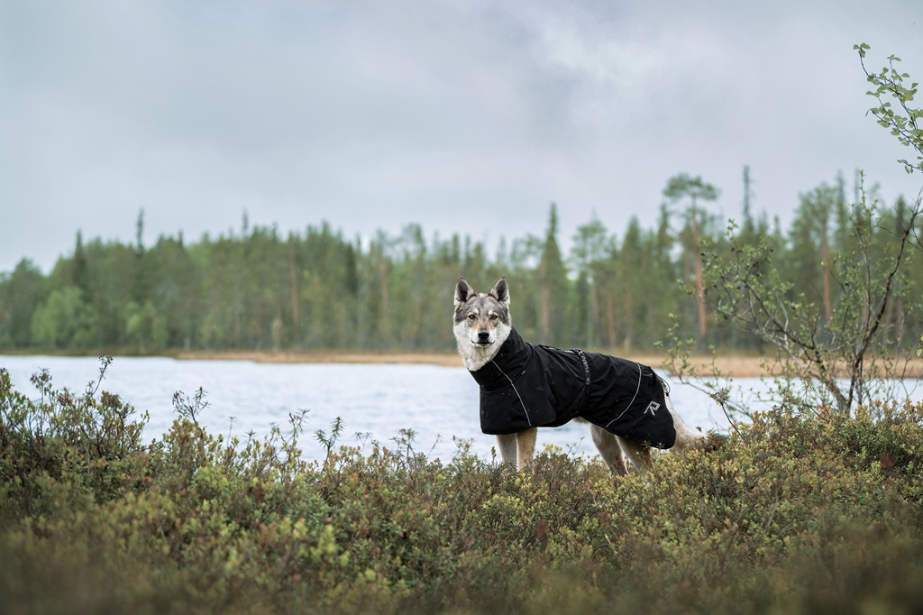 【Rukka Pets】ハイトン X レインコート 色: ブラック, サイズ: 25