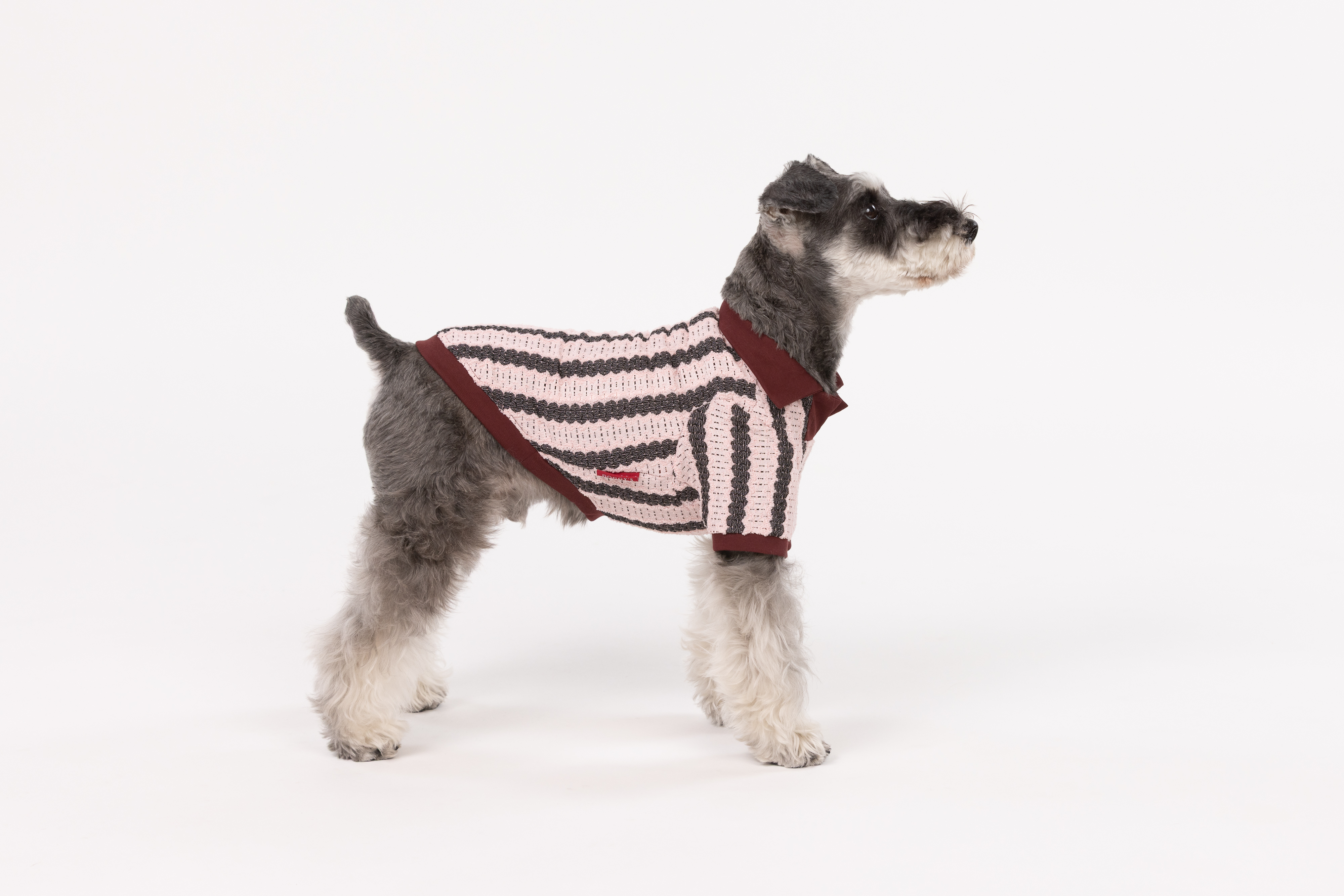 【FIRST】レーススキッパーシャツ 色: WHITE, サイズ: S