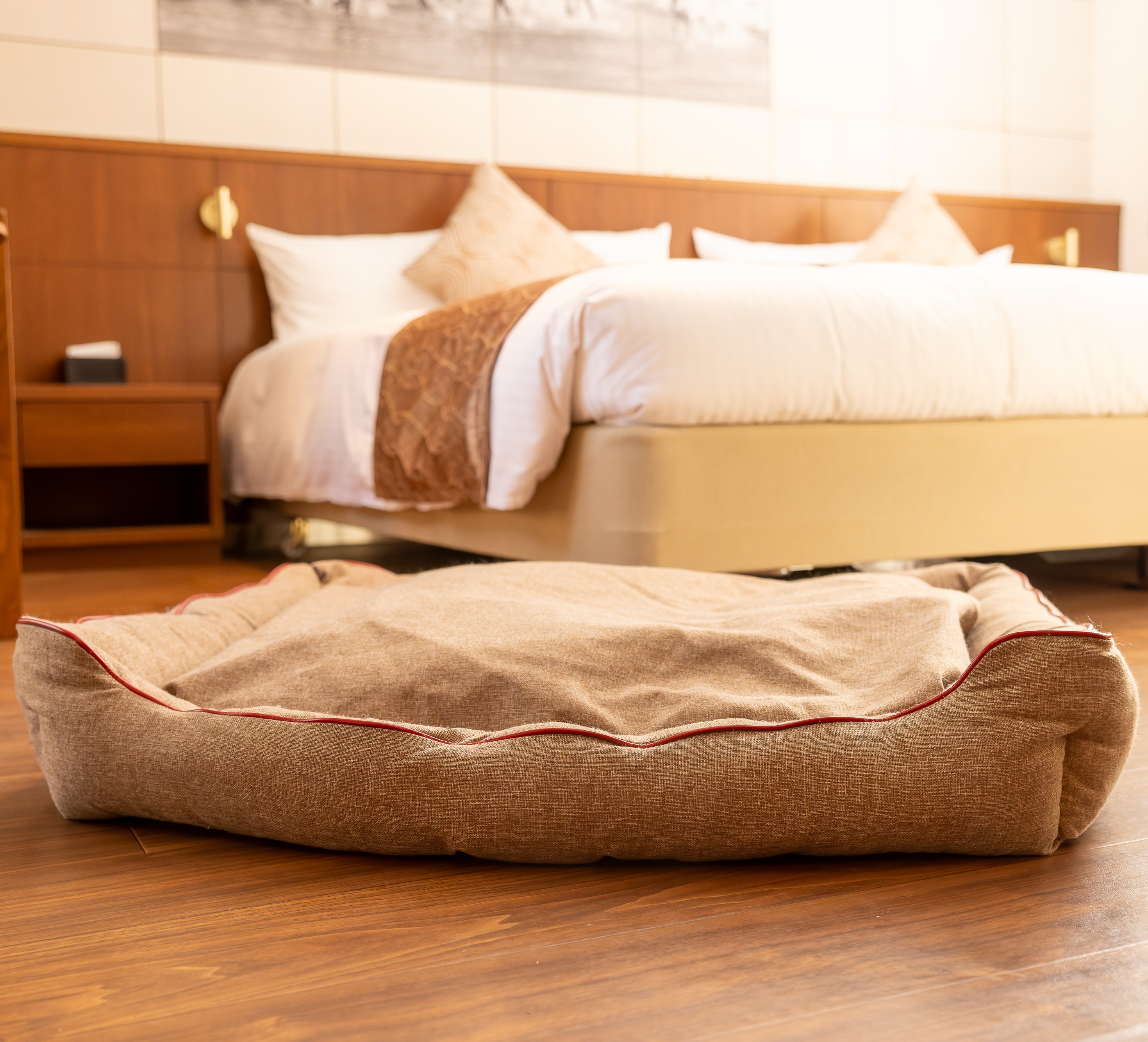 【FIRST】スクラッチレジスタンス　スクエアベッド 色: ブラウン, サイズ: S