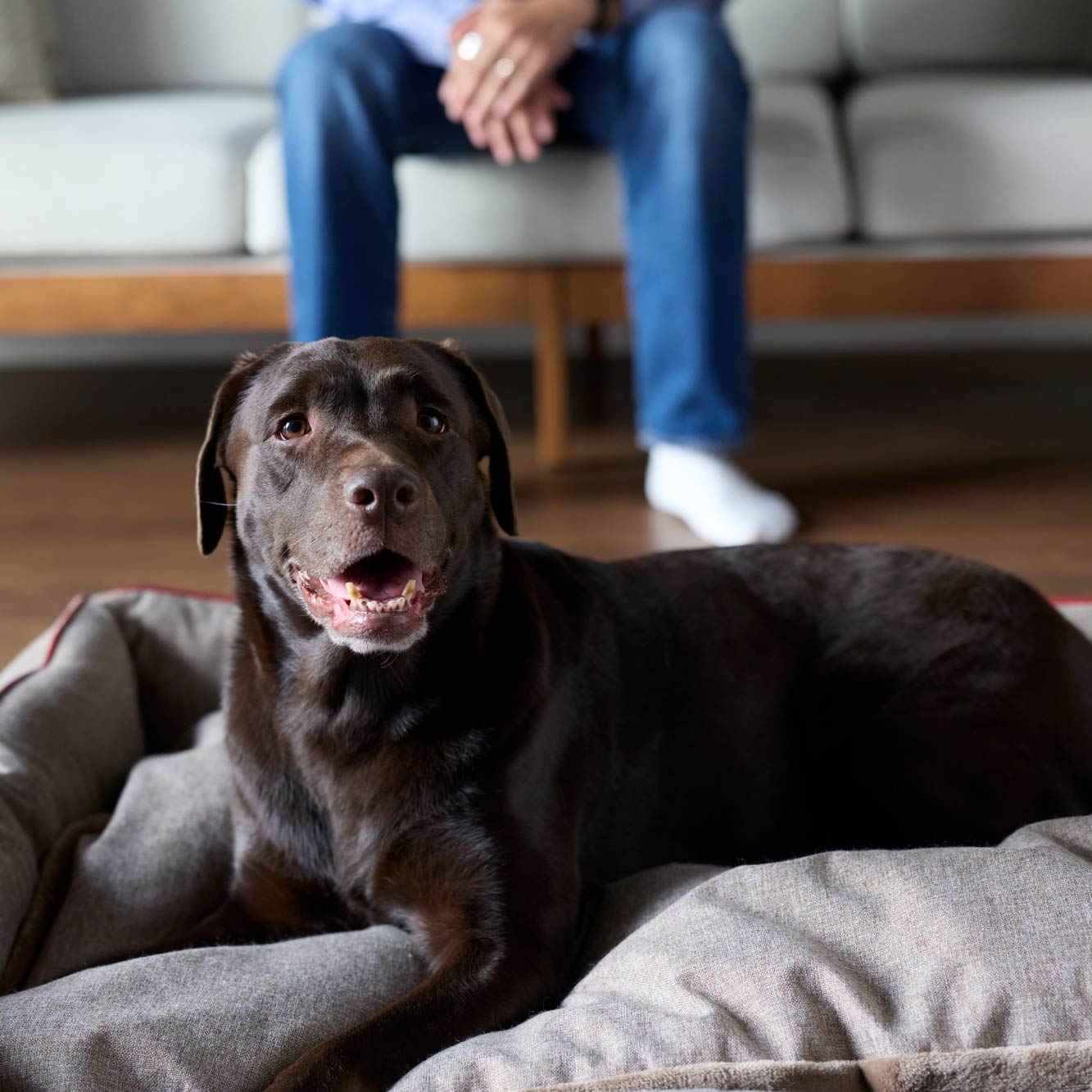 ライフスタイル