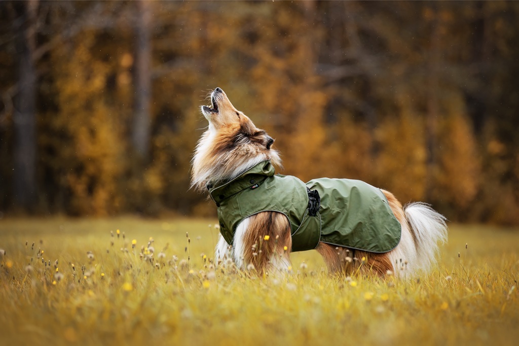 【Rukka Pets】ストリーミー X レインコート サイズ: 25