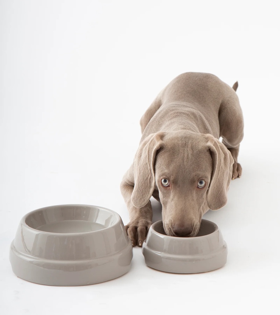 【2.8】SEBASTIAO - DOG BOWL 色: Warm grey, ボウル: S 15 cm