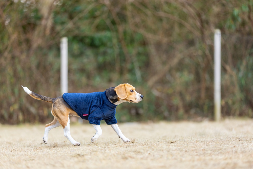 【FIRST】モックネックフリースシャツ 色: ネイビー, サイズ: XS