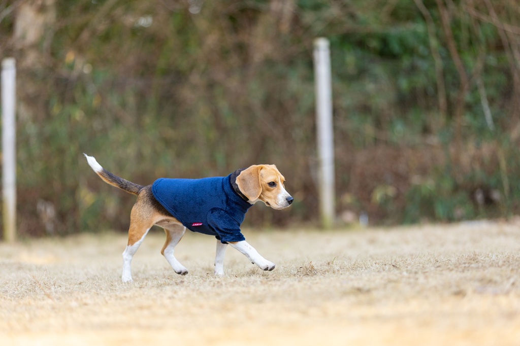 【FIRST】モックネックフリースシャツ 色: ネイビー, サイズ: XS