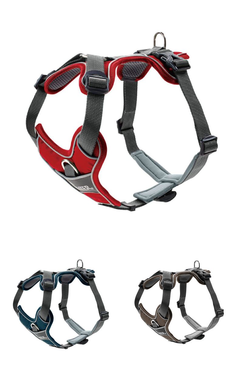 【HUNTER】ディヴォ 色: レッド/グレー, サイズ: XS