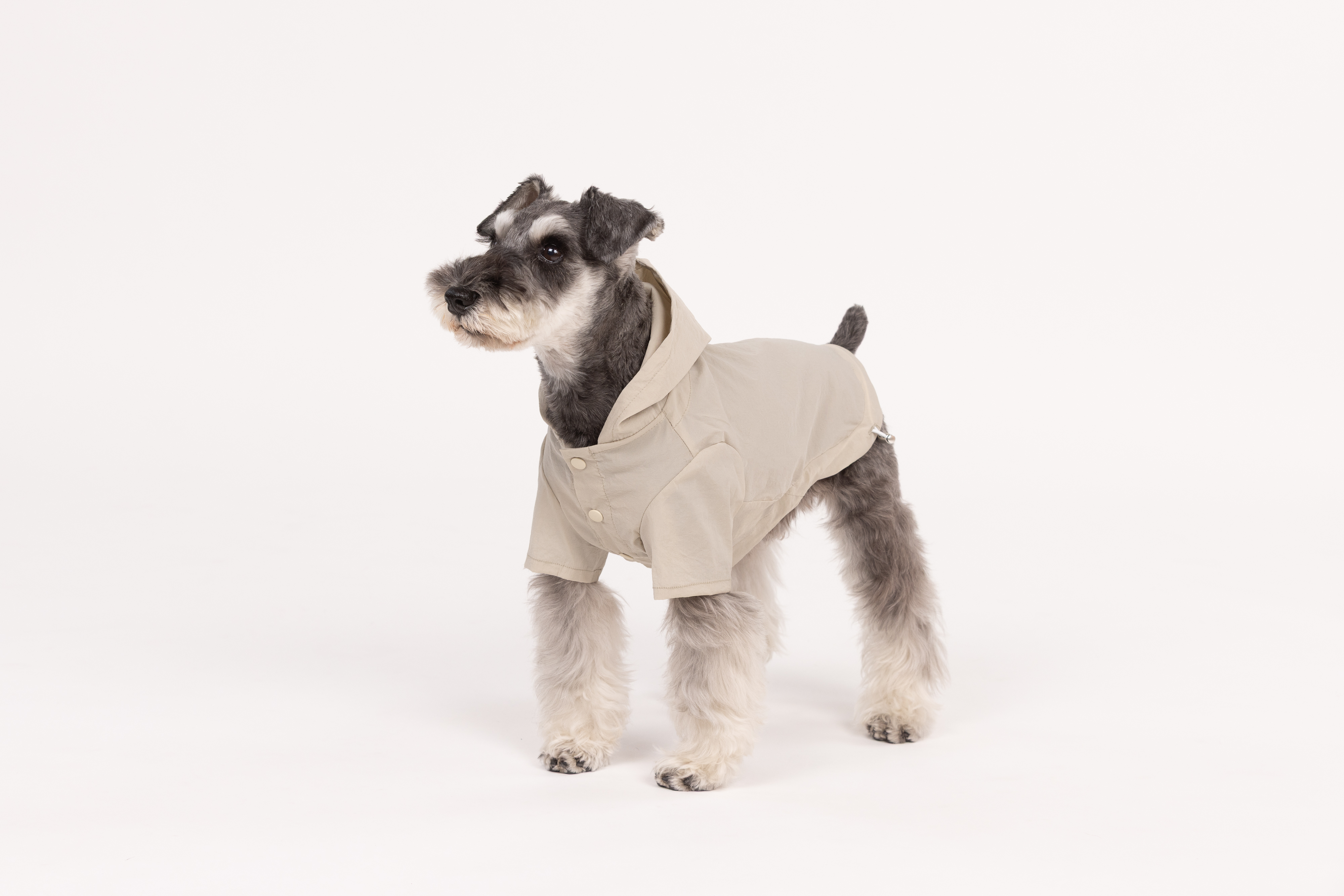 【FIRST】ウォーターシェディングフーディ 色: BEIGE, サイズ: S