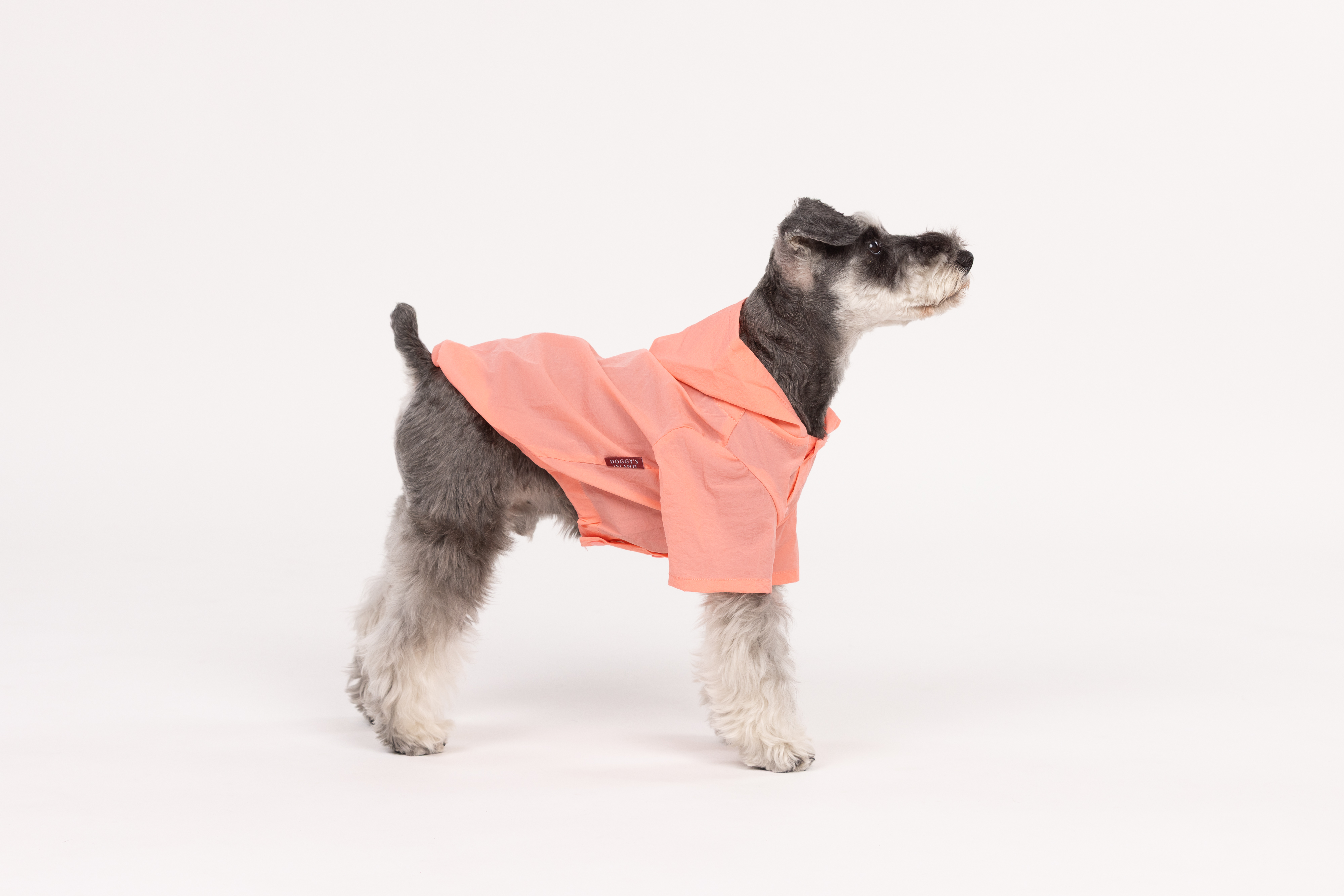 【FIRST】ウォーターシェディングフーディ 色: BEIGE, サイズ: S