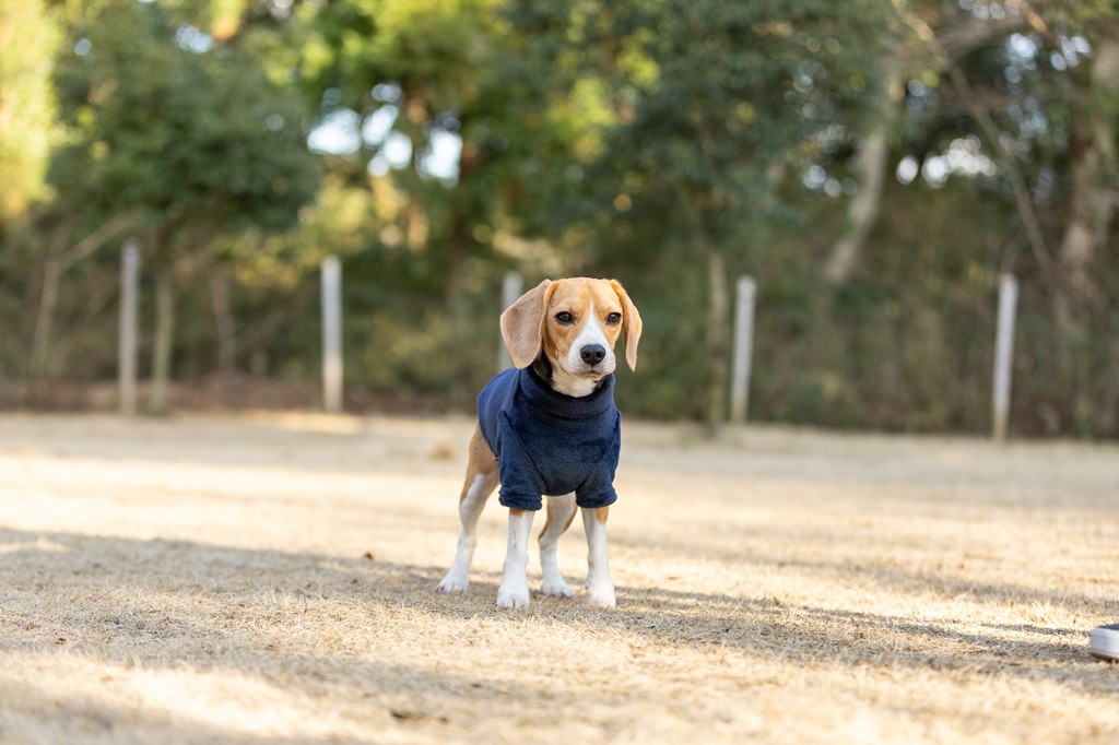 【FIRST】モックネックフリースシャツ 色: ネイビー, サイズ: XS