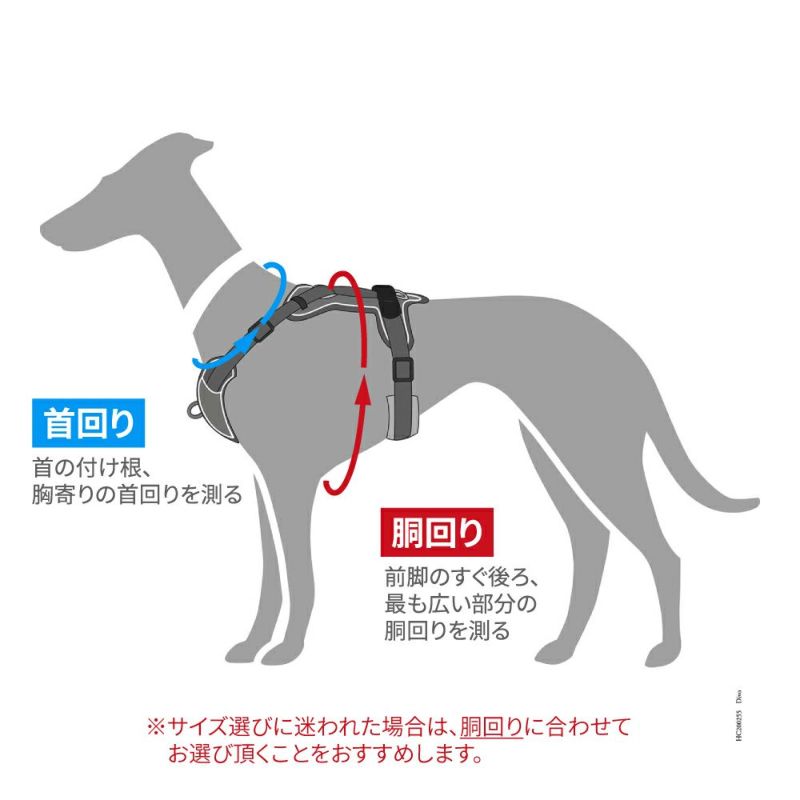 ディヴォ　アップ　Sブラック