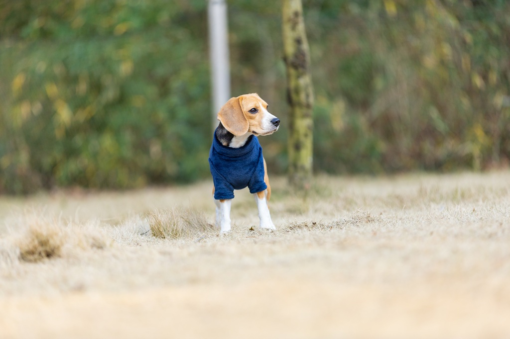 【FIRST】モックネックフリースシャツ 色: ネイビー, サイズ: XS