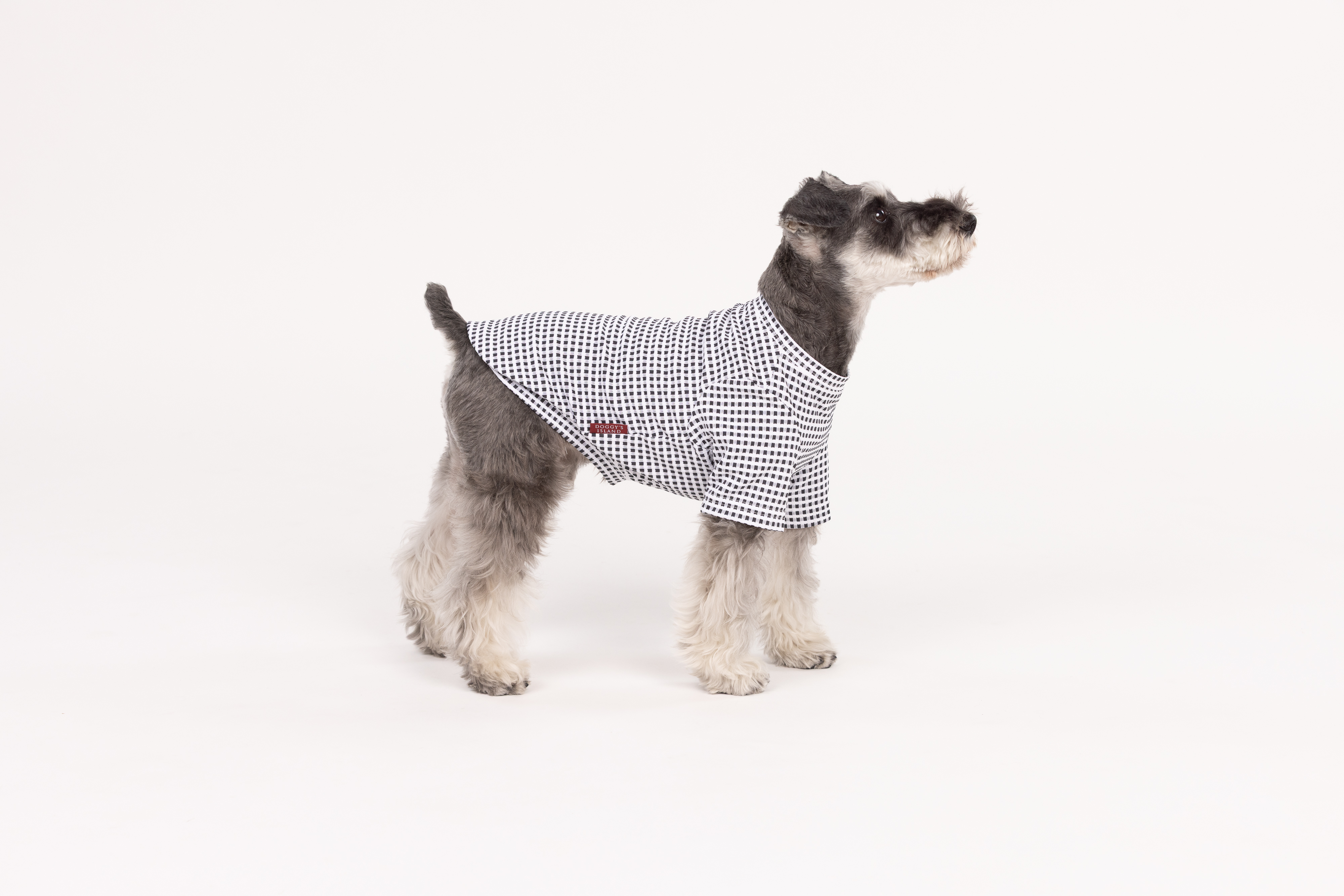 【FIRST】UPFギンガムチェックTシャツ 色: SAX/PPL, サイズ: S