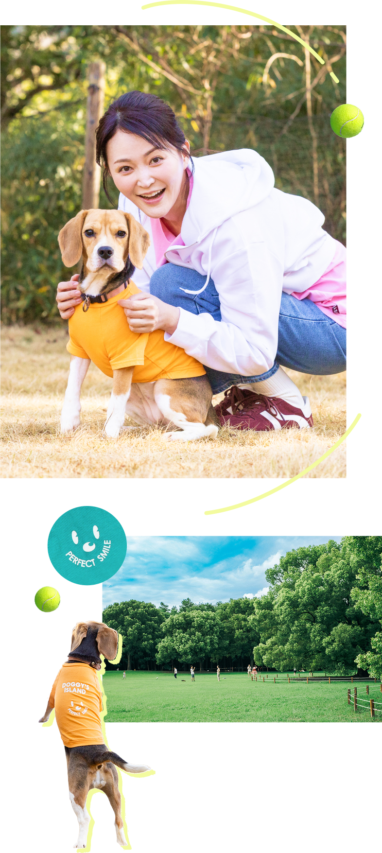 犬と人の笑顔の写真