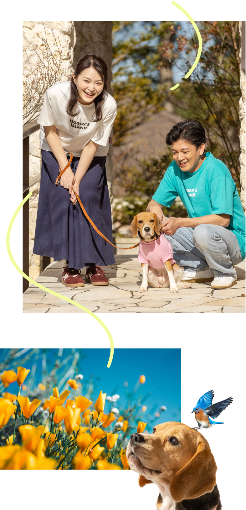ウルトラパラダイスの写真