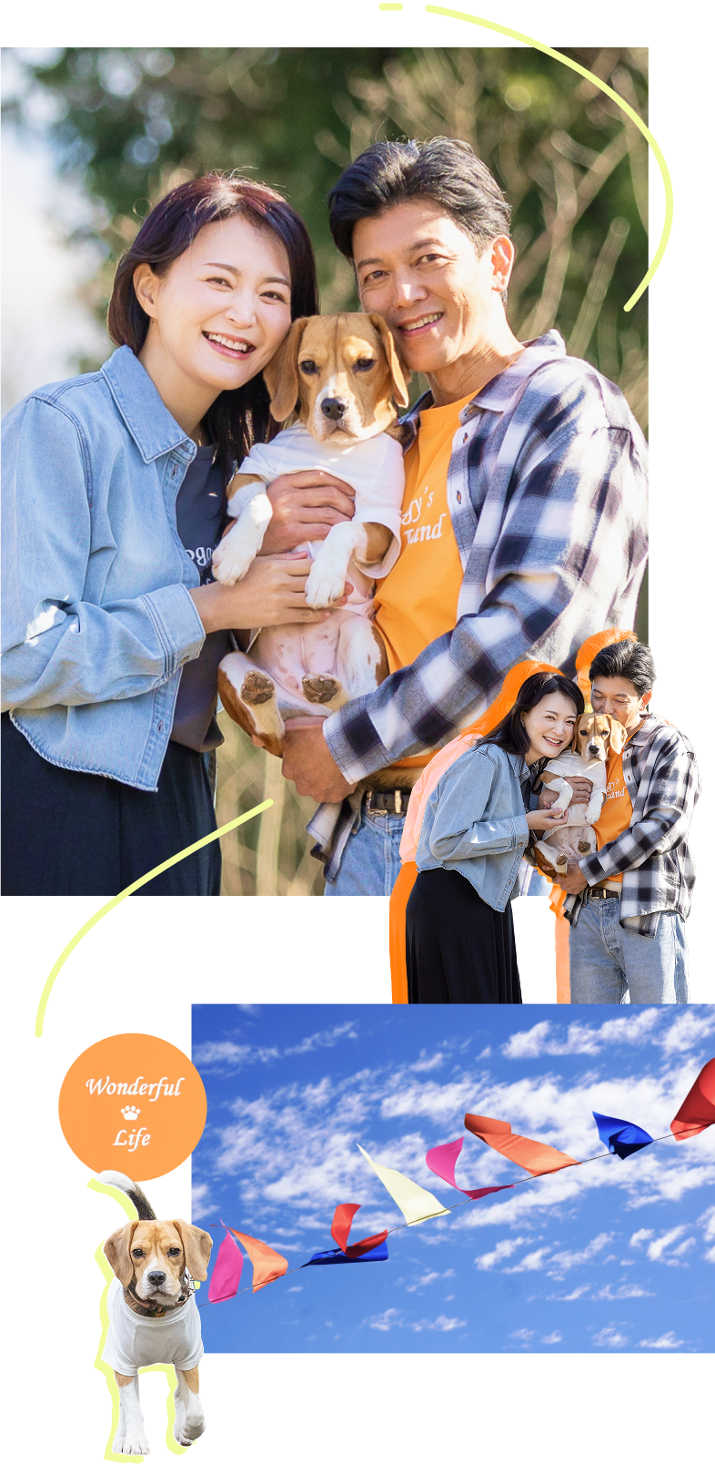 犬と人の豊かな暮らしの写真