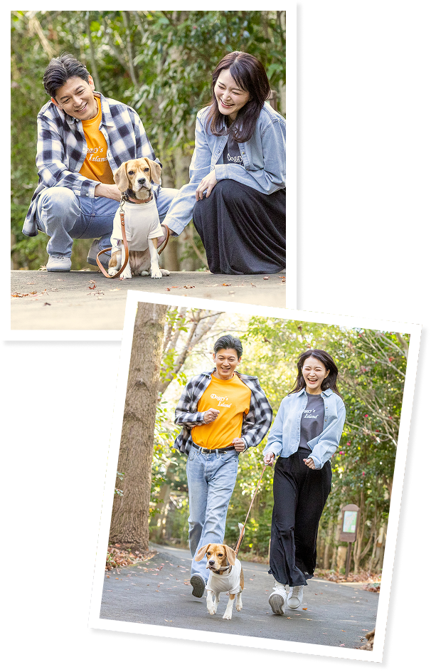 WONDERFUL LIFEセクション画像