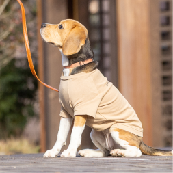 【FIRST】メッセージTシャツ　PRECIOUSTIME　DOG