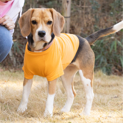【FIRST】メッセージTシャツ　PERFECTSMILE　DOG