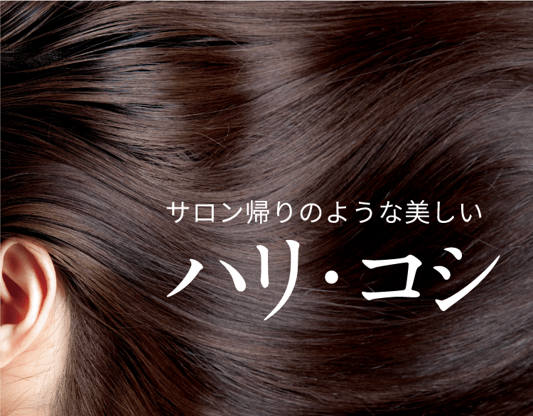 サロン1985,1988,1990,1996 喋れ
