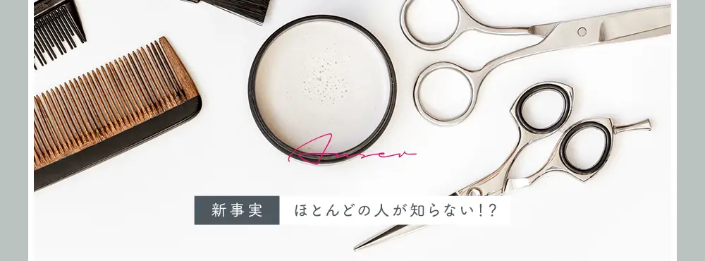 Anser新事実ほとんどの人が知らない！？