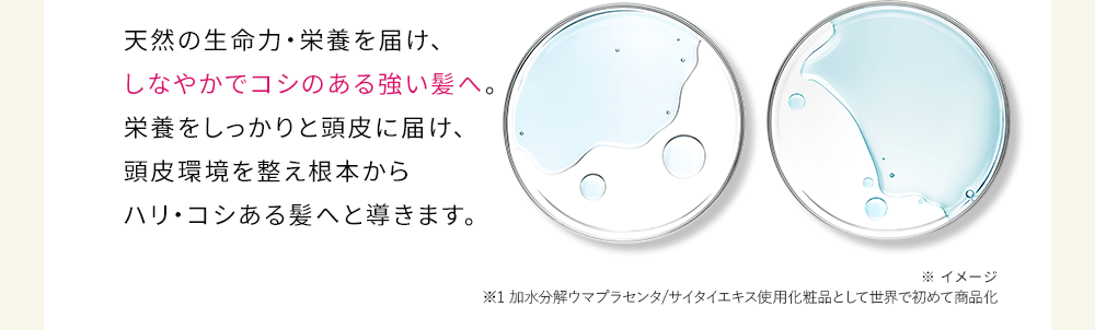 天然の生命力・栄養を届け、しなやかでコシのある強い髪へ。栄養をしっかりと頭皮に届け、頭皮環境を整え根本からハリ・コシある髪へと導きます。