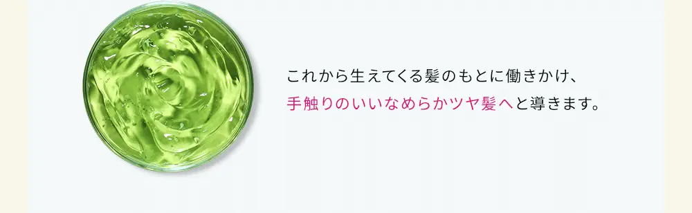 これから生えてくる髪のもとに働きかけ、手触りのいいなめらかツヤ髪へと導きます。
