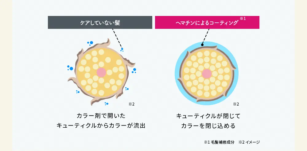 ケアしていない髪、ヘマチンによるコーティング※１カラー剤で開いたキューティクルからカラーが流出　キューティクルが閉じてカラーを閉じ込める※1毛髪補修成分　※2イメージ