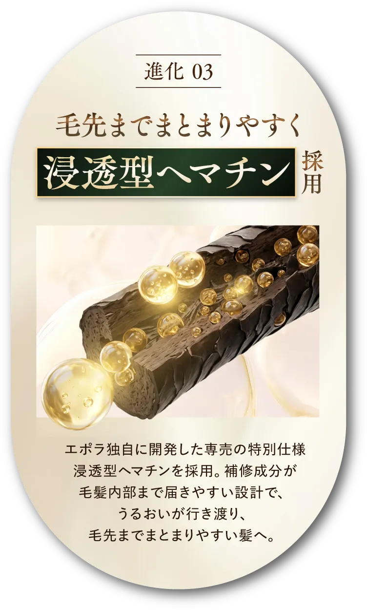 進化03 浸透型ヘマチン採用で毛先までまとまりやすく