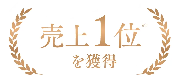 売上1位を獲得