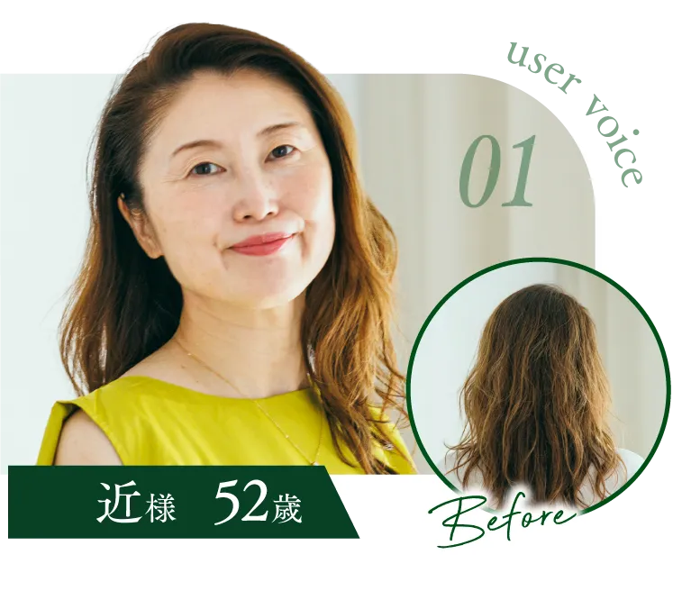 user voice 01