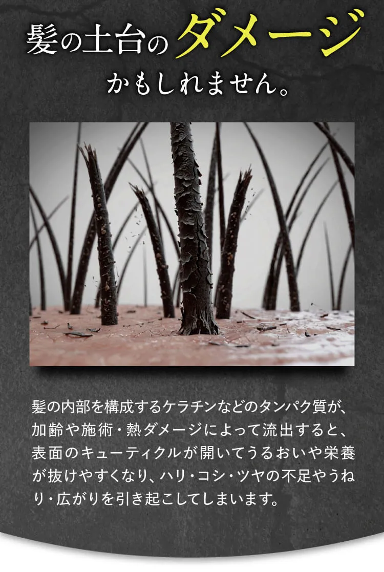 その原因は 髪の土台のダメージかもしれません。