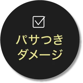 パサつきダメージ