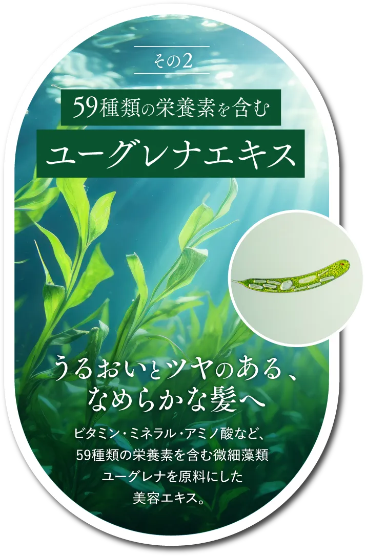 その2 59種類の栄養素を含むユーグレナエキス うるおいとツヤのある、なめらかな髪へ