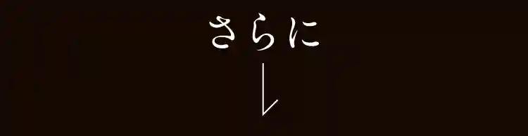 さらに