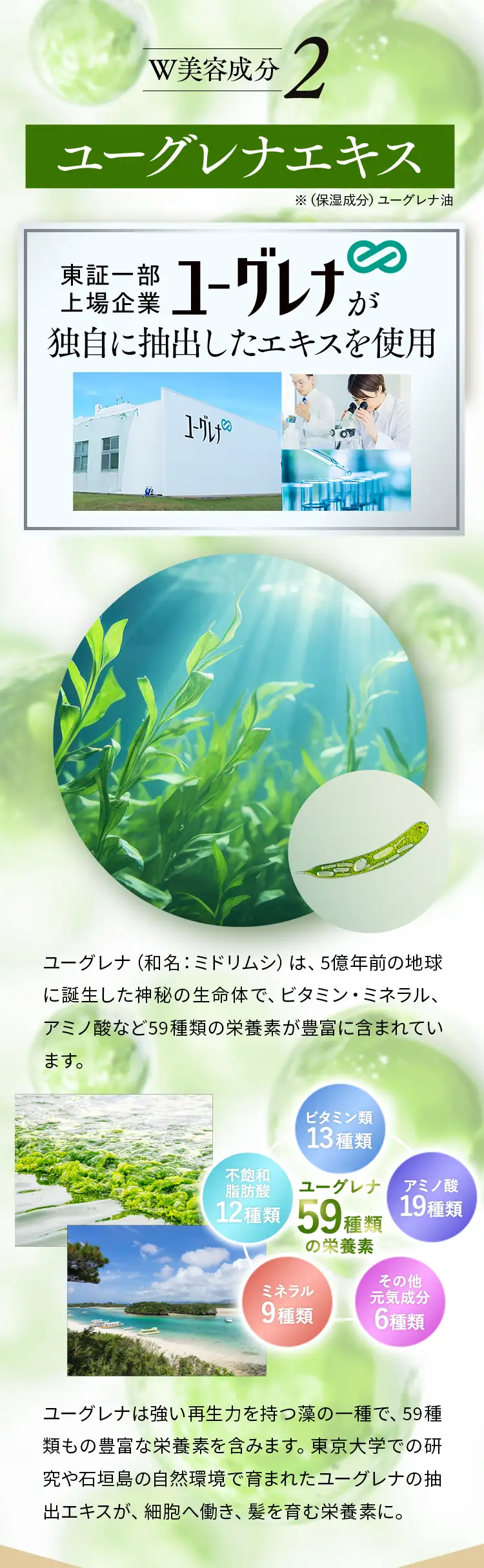 W美容成分2 ユーグレナエキス※(保湿成分)ユーグレナ油　ユーグレナ (和名:ミドリムシ) は、 5億年前の地球に誕生した神秘の生命体で、 ビタミン・ミネラル、アミノ酸など59種類の栄養素が豊富に含まれています。東証一部上場企業ユーグレナが独自に抽出したエキスを使用