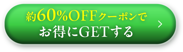 今すぐ60％offの特別価格で申し込む