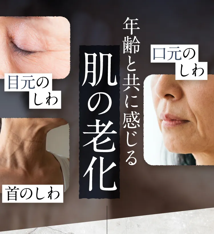 肌の老化