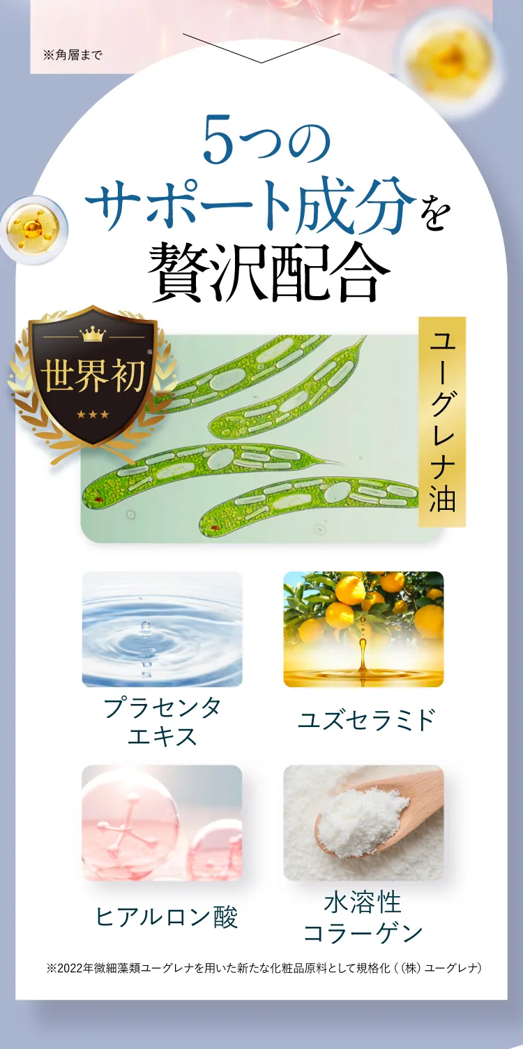 5つのサポート成分