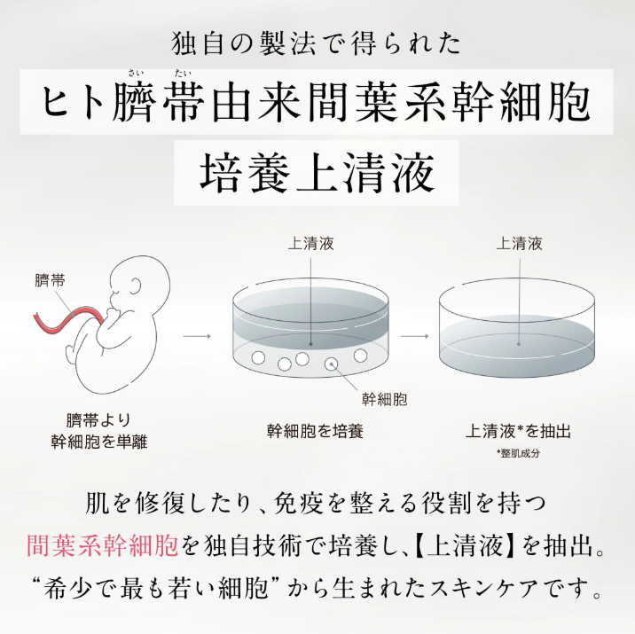 新｜エテルナム クリーム