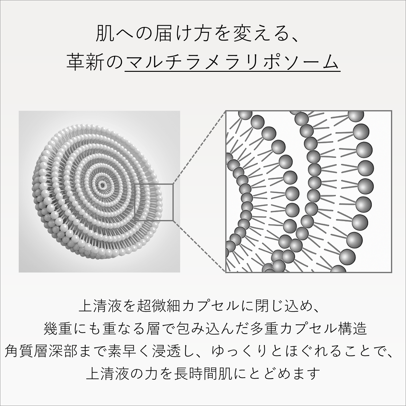 新|【初回限定】エテルナム トライアルセット«7日分»