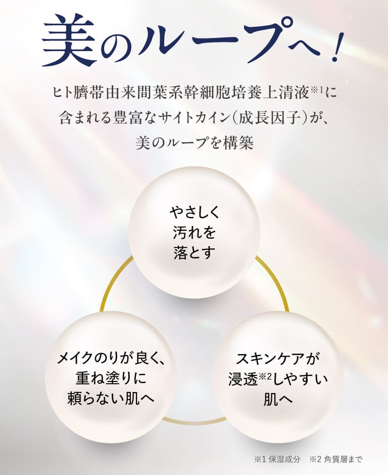 美のループへ！