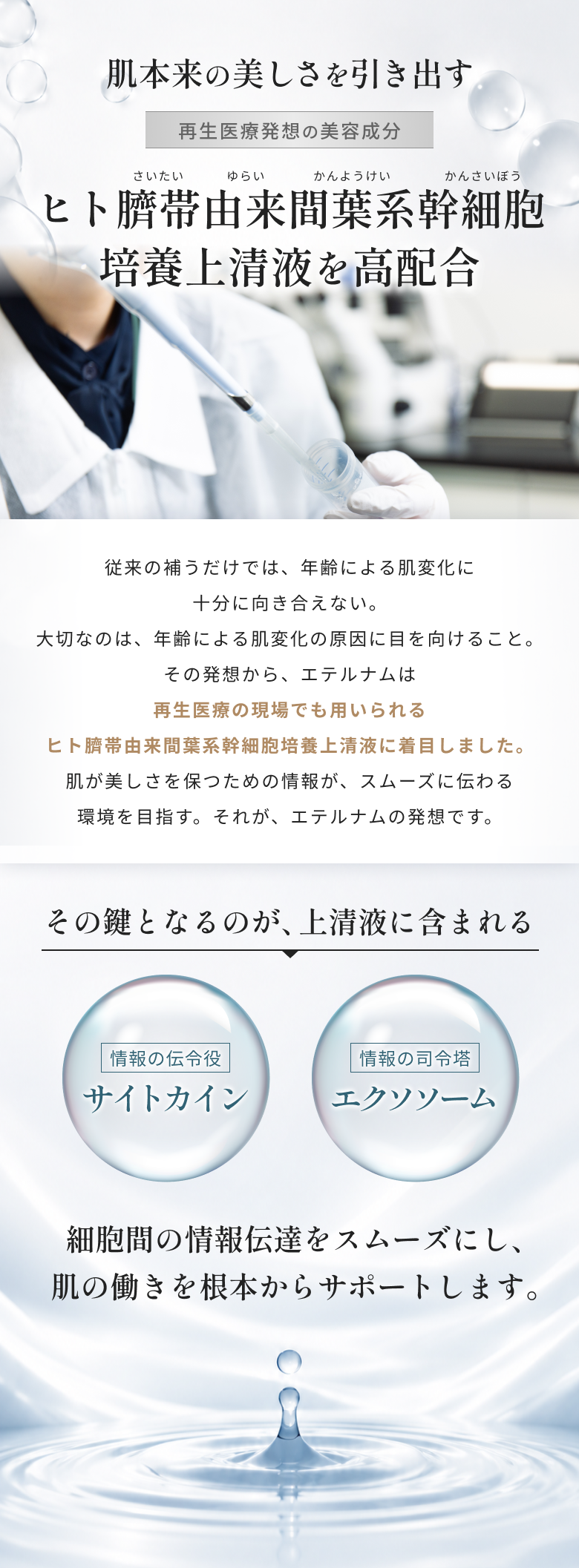 上清液を代表する成長因子やサイトカイン