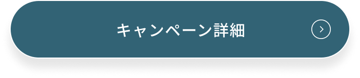 今すぐ購入する