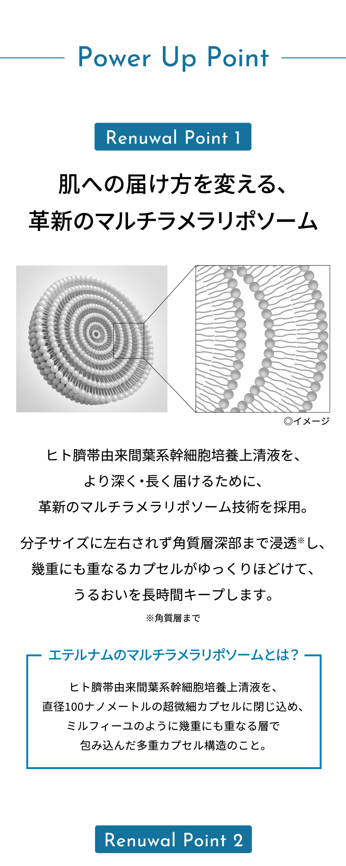 肌への届け方を変える、革新のマルチラメラリポソーム