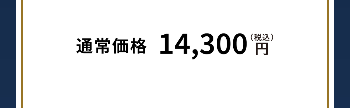 通常価格14300円（税込）
