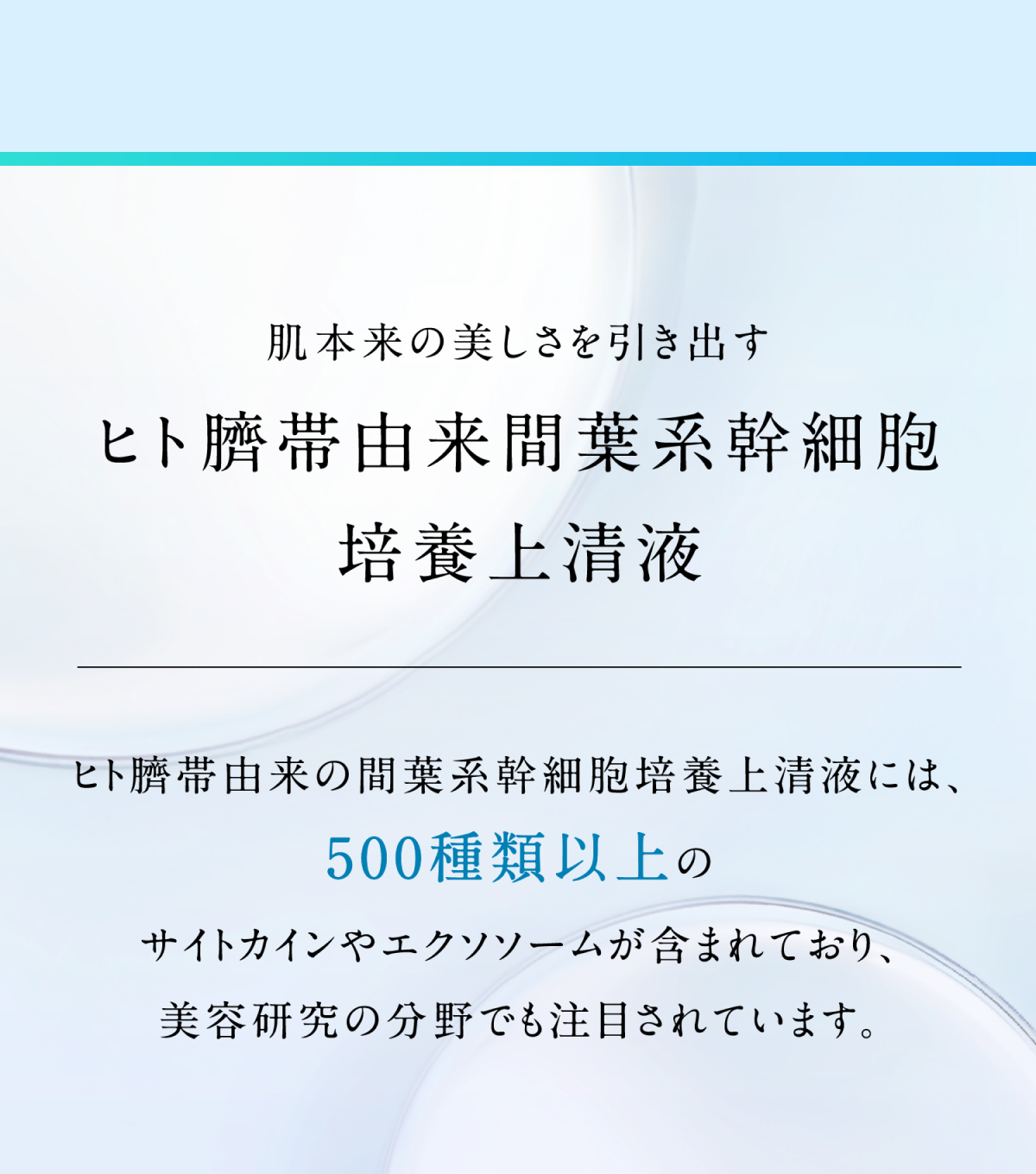ヒト臍帯由来間葉系幹細胞培養上清液