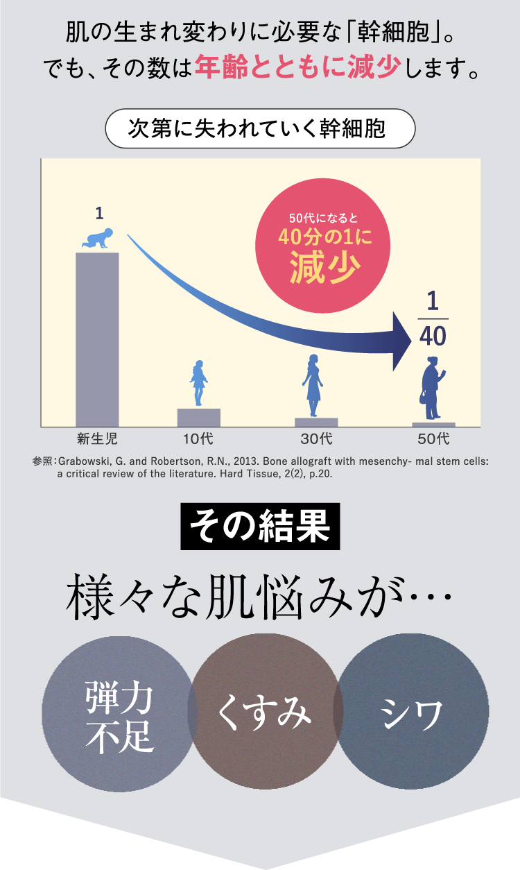 肌の生まれ変わりに必要な「幹細胞」。でも、その数は年齢とともに減少します。