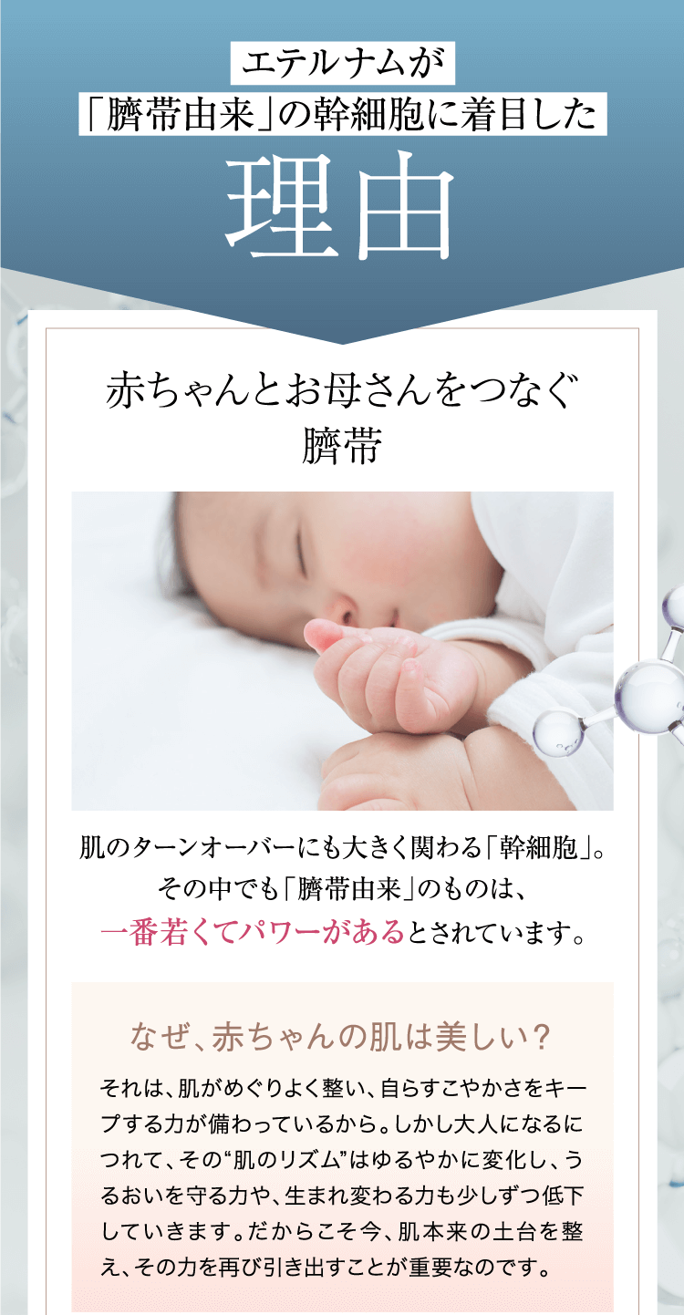 エテルナムが「臍帯由来」の幹細胞に着目した理由