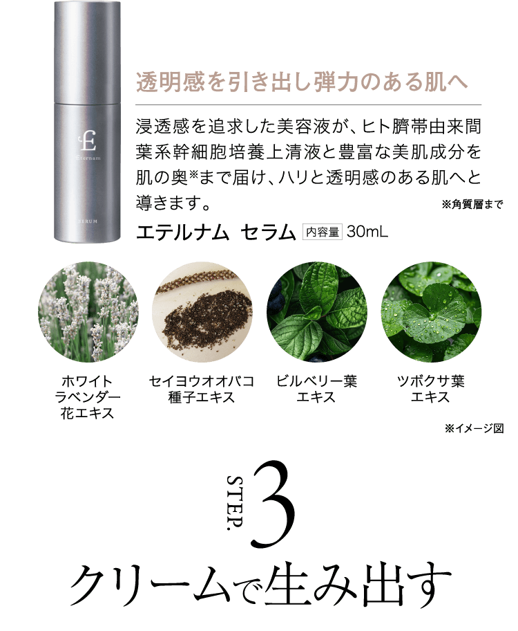 透明感を引き出し弾力のある肌へ